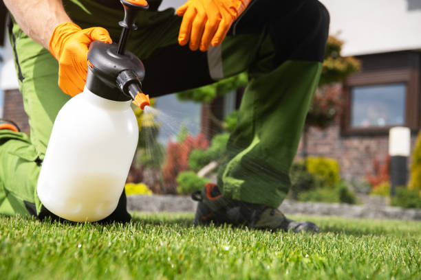 Best Bird Control  in Marshall, IL