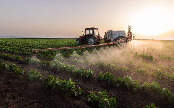 Best Best Pest Control Companies  in Marshall, IL