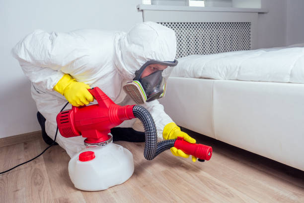 Best Affordable Pest Control Services  in Marshall, IL