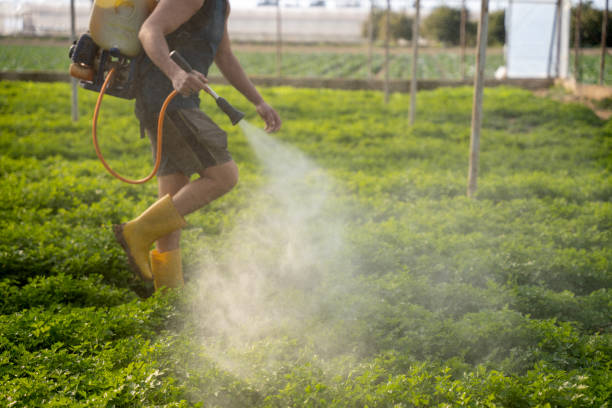 Reliable Marshall, IL Pest Control Solutions