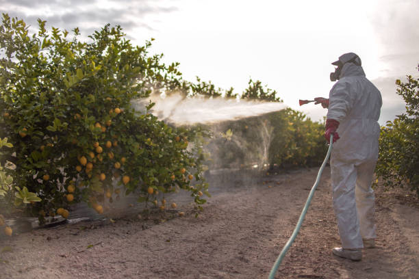 Best Pest Prevention Services  in Marshall, IL