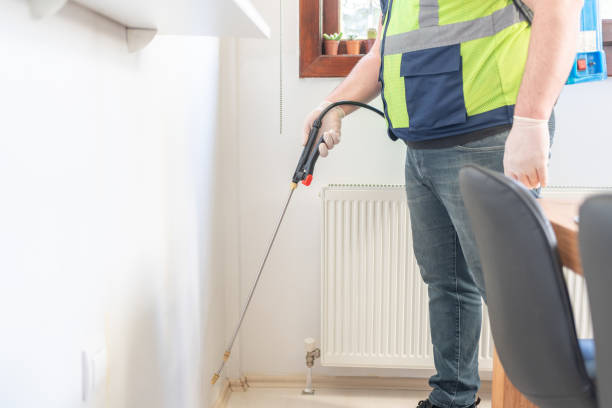 Best Flea Control Services  in Marshall, IL