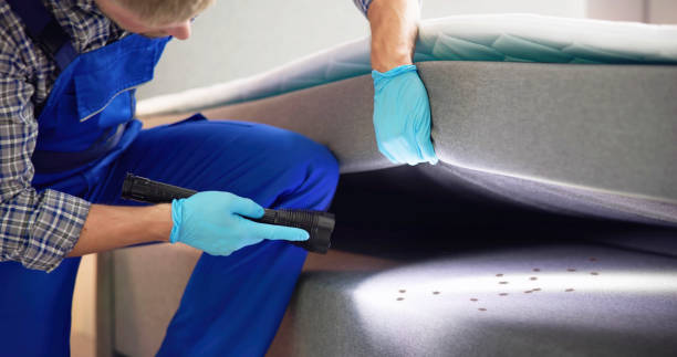 Pest Control Cost in Marshall, IL