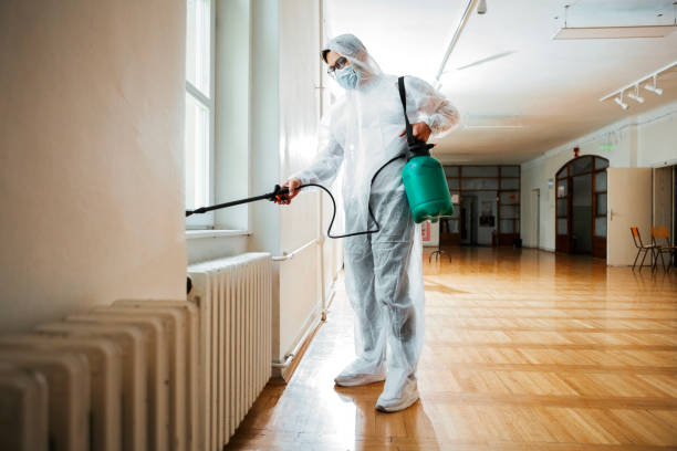 Best Affordable Pest Control Services  in Marshall, IL