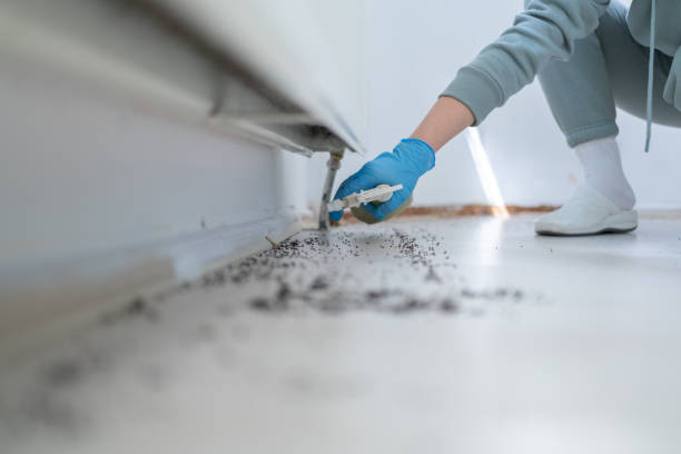 Best Best Pest Control Companies  in Marshall, IL